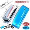 ken-harmonica-mini-diatonic-7-lo-kongsheng-baby-fat-mau-xanh-duong-key-a-paddy-richter - ảnh nhỏ  1