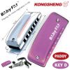 ken-harmonica-mini-diatonic-7-lo-kongsheng-baby-fat-mau-hong-key-d-paddy-richter - ảnh nhỏ  1