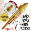 sao-bau-nhua-gia-ngoc-co-nep-inox-tone-c-van-go - ảnh nhỏ  1