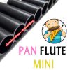sao-ong-pan-flute-mini-8-lo-den - ảnh nhỏ 8