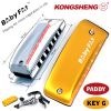 ken-harmonica-mini-diatonic-7-lo-kongsheng-baby-fat-mau-vang-key-g-paddy-richer - ảnh nhỏ  1