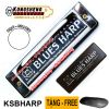 ken-harmonica-diatonic-kongsheng-blues-harp-key-c-bac - ảnh nhỏ  1